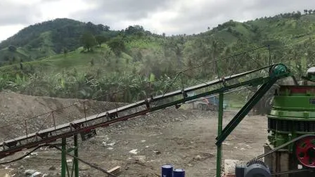 China Steinbrecher mit guter Qualität/Backensteinbrecher zu verkaufen